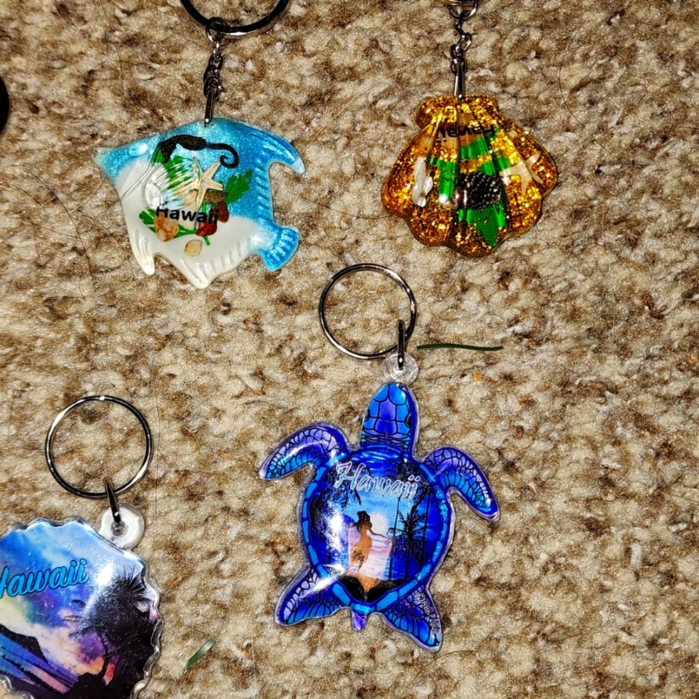 Hawaii Keychains - Picture 3 of 9